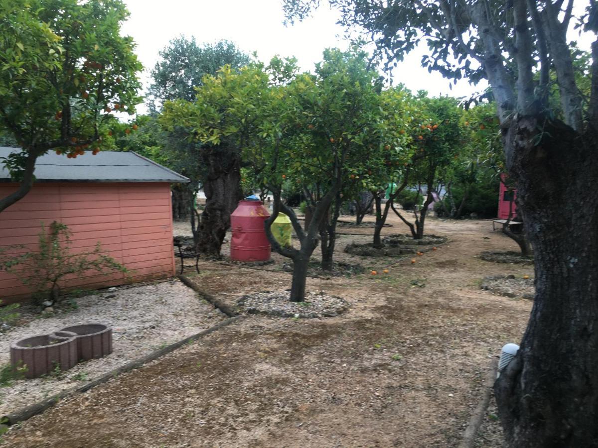 Maison d'hôtes Quinta do Lagar de São José à Paialvo Extérieur photo