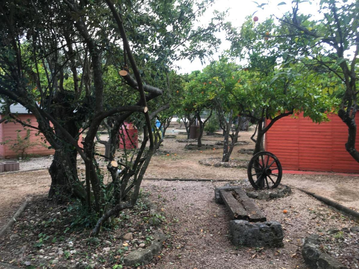 Maison d'hôtes Quinta do Lagar de São José à Paialvo Extérieur photo