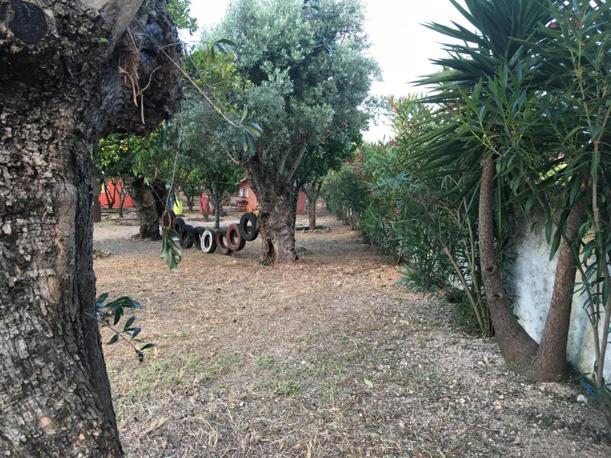 Maison d'hôtes Quinta do Lagar de São José à Paialvo Extérieur photo