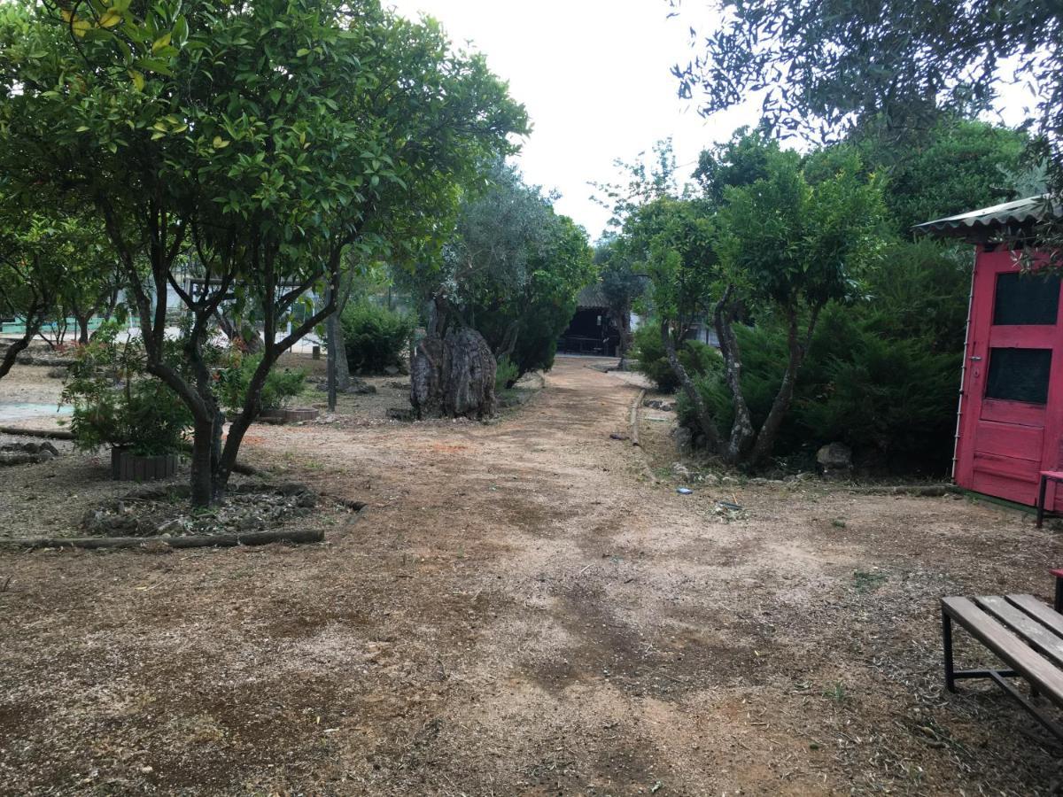 Maison d'hôtes Quinta do Lagar de São José à Paialvo Extérieur photo